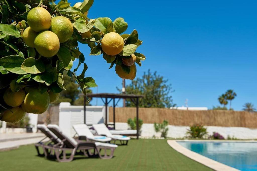 The Lovely Villa Ibiza Eksteriør bilde